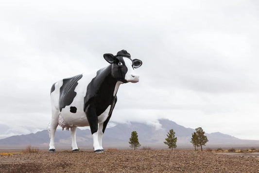 Cow Sculpture, by Paul Edmondson-PurePhoto