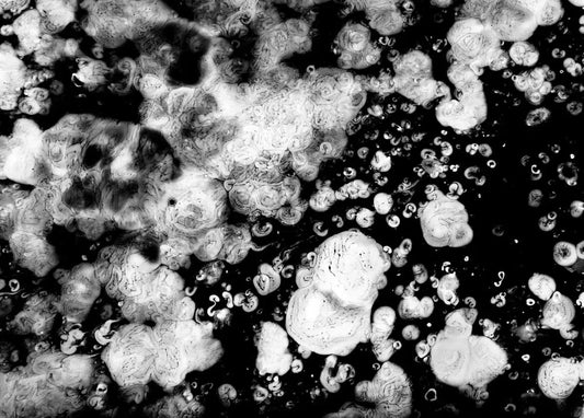 Cracks, Don't Break Your Mother's Back, by Javiera Estrada-PurePhoto