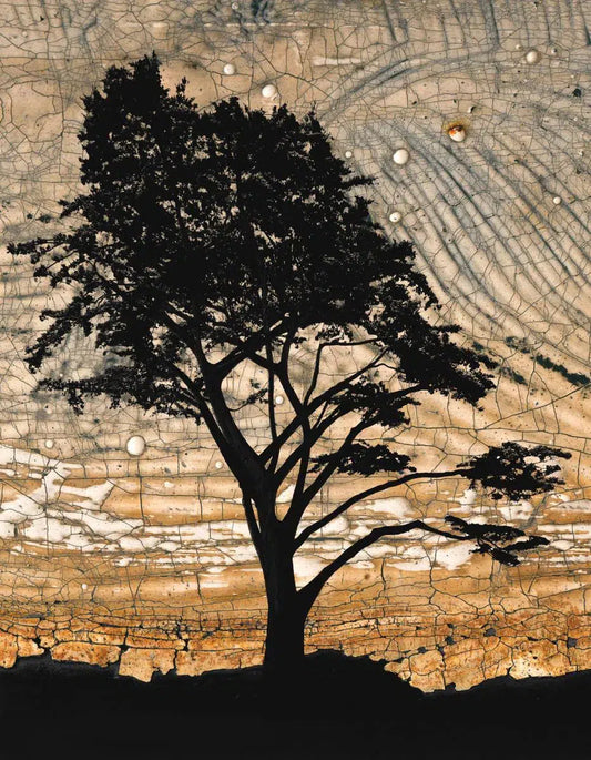 Cypress II, by Gillian Lindsay-PurePhoto