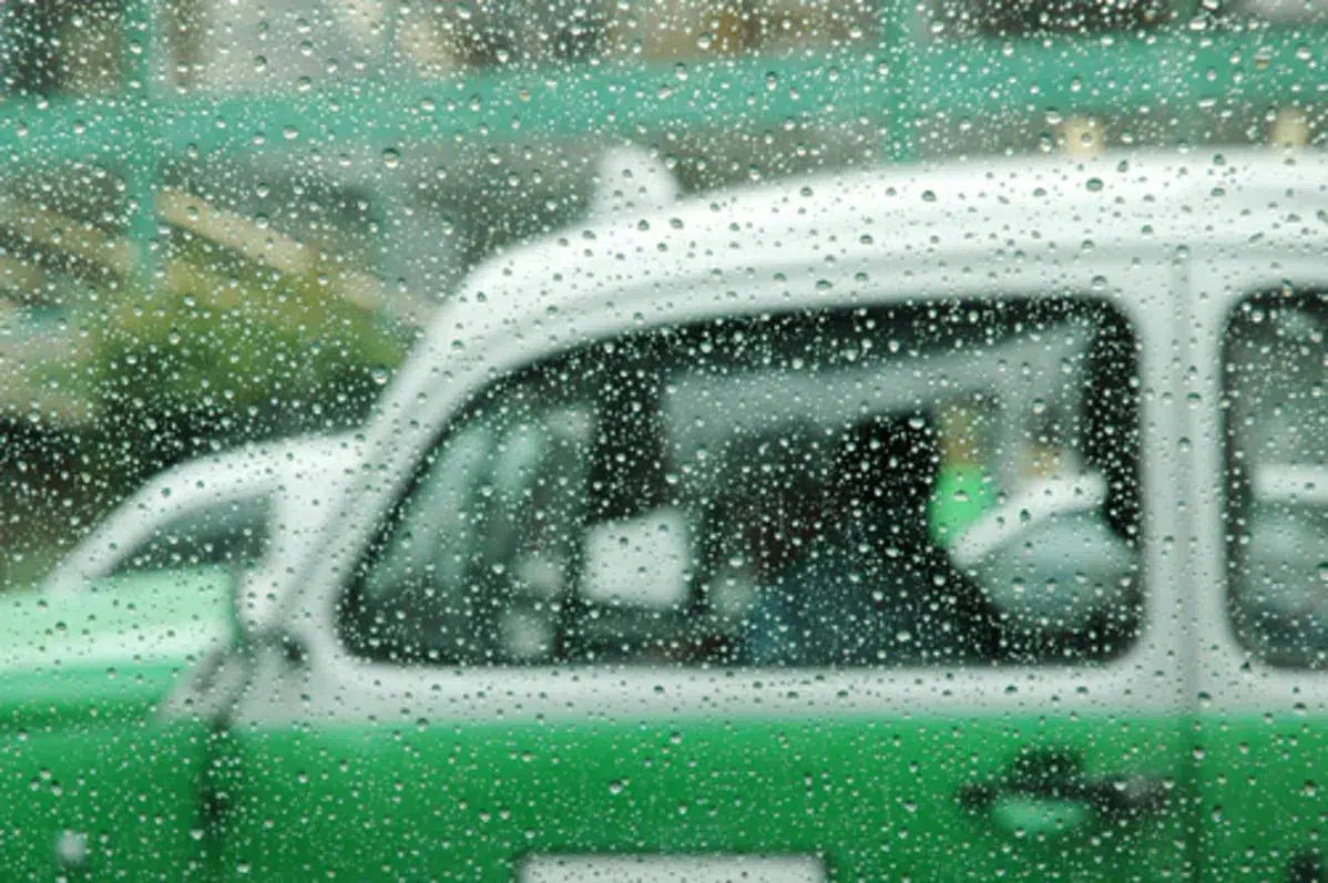 @DF, by Francesca Ritchey-PurePhoto