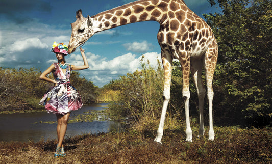 Daisy Giraffe, by Greg Lotus-PurePhoto