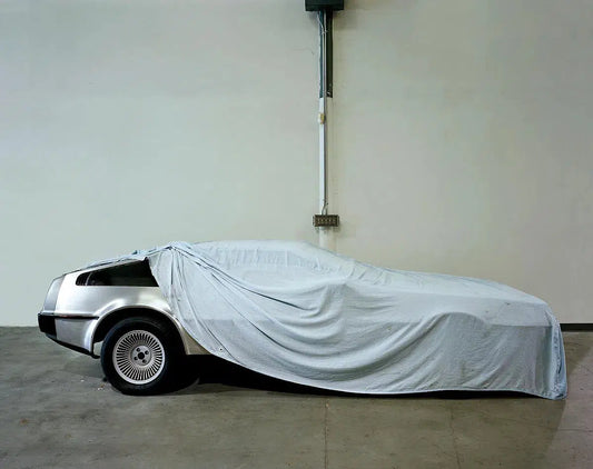 Delorean II, by Tom Fowlks-PurePhoto
