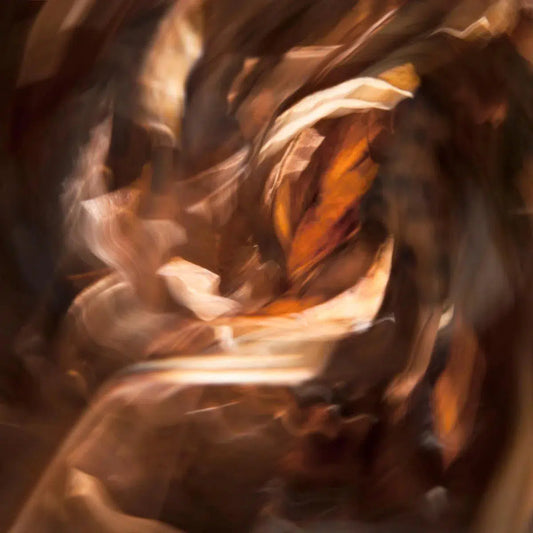 Dervish, by Gillian Lindsay-PurePhoto