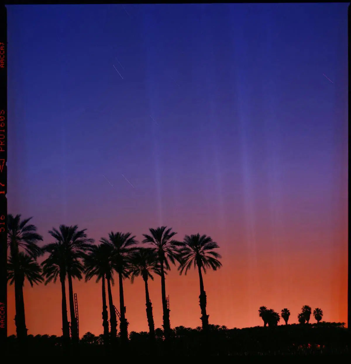 Desert Lights, by Garret Suhrie-PurePhoto