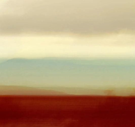 Desert Sun, by Christina Craemer-PurePhoto