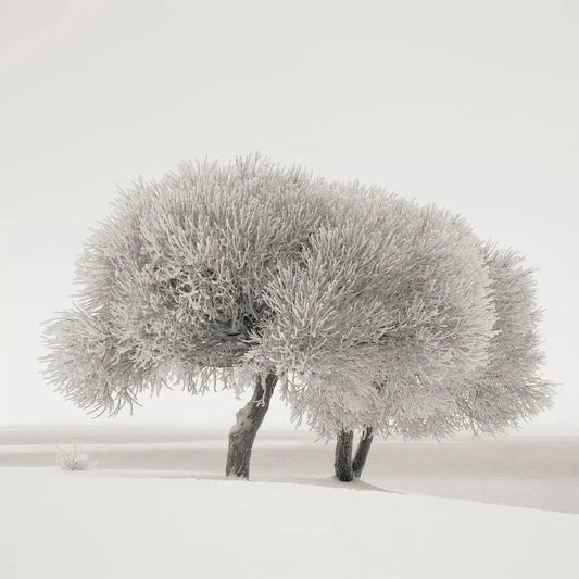 Different Season, by Ari Salmela-PurePhoto