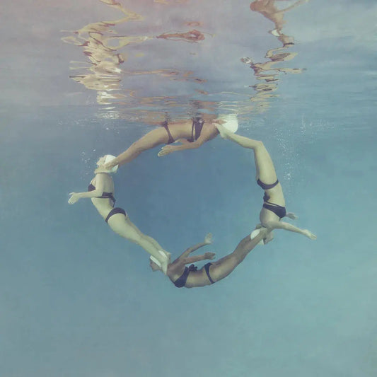 Dolphin Circle, by Mallory Morrison-PurePhoto