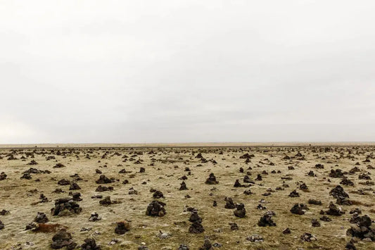 Dots, by Simon Reif-PurePhoto