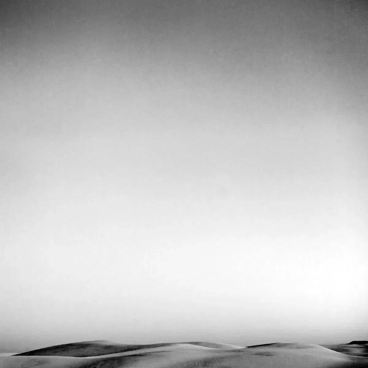 Dune Tops, by Bryce Olsen-PurePhoto
