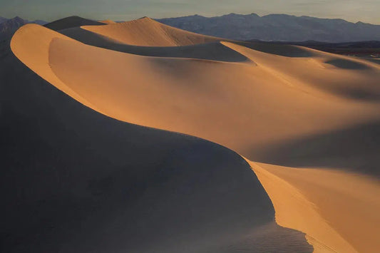 Dunes in Morning - Mesquite Flat, by Steven Castro-PurePhoto