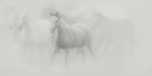 Dust, by Carys Jones-PurePhoto