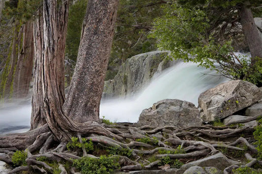 Eagle Creek Cascade, by Steven Castro-PurePhoto