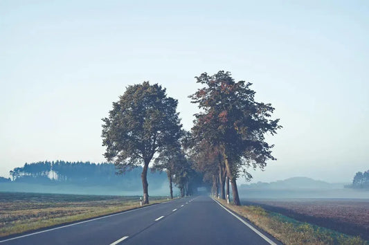 Early Morning Road, by Ari Salmela-PurePhoto