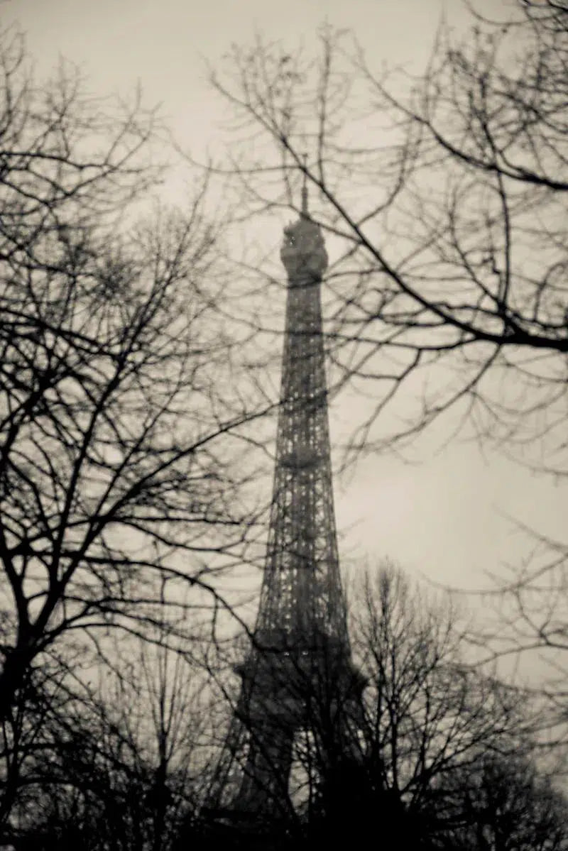 Eiffel Tower #2, by Javiera Estrada-PurePhoto