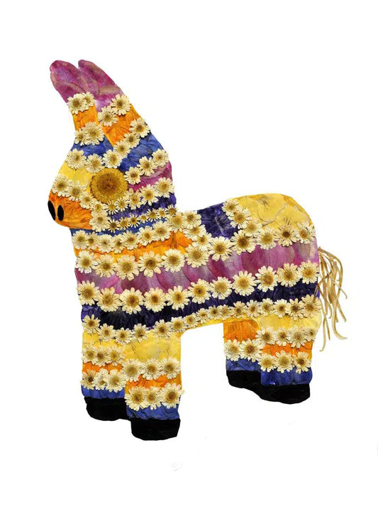 El Burro, by Amanda McCauley-PurePhoto