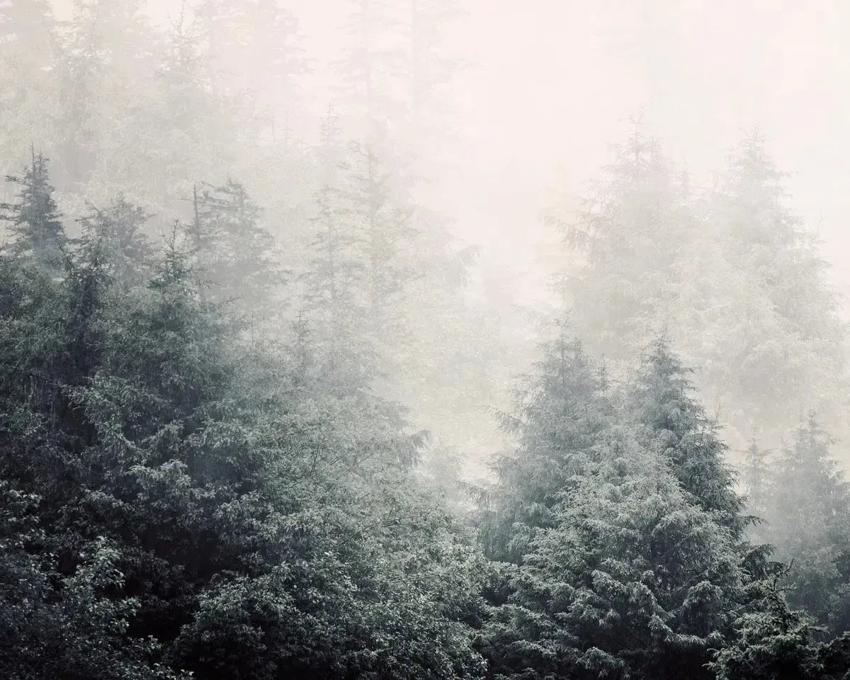 Elemental, by Irene Suchocki-PurePhoto