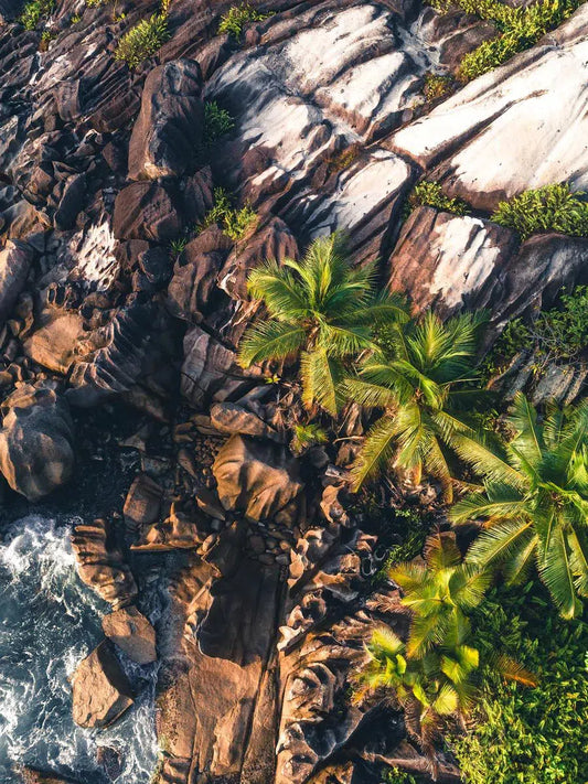 Endangered Paradises 07, by Kevin Krautgartner-PurePhoto