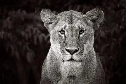 Endless Gaze, by Drew Doggett-PurePhoto