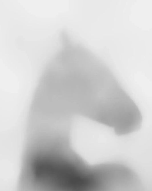 Equus Umbra I, by Carys Jones-PurePhoto