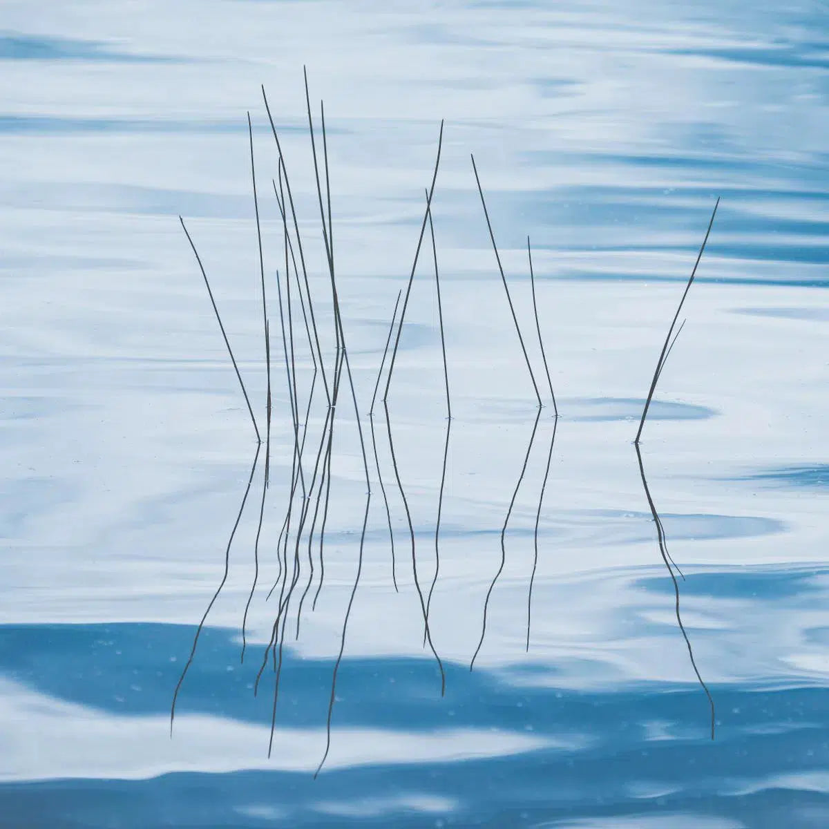 Evening Reflections, by Ari Salmela-PurePhoto