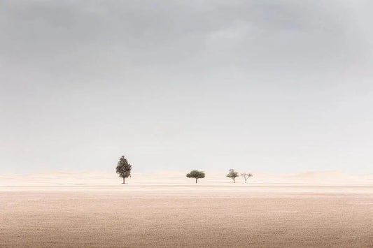 Family of Four, by Anthony Lamb-PurePhoto