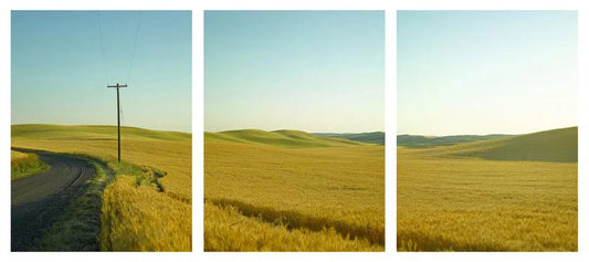 Farm Road Triptych, by Dale Hedden-PurePhoto