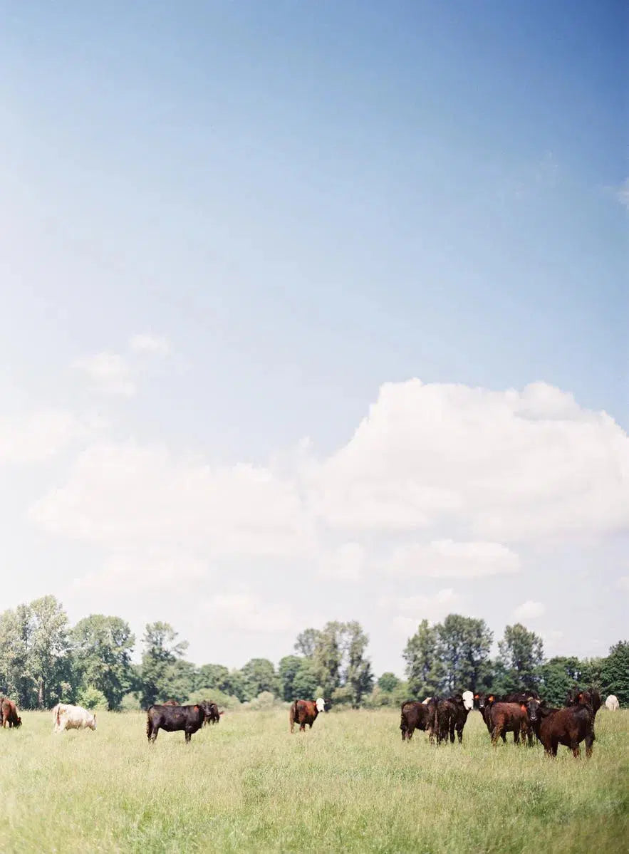 Farmland, by Erich McVey-PurePhoto
