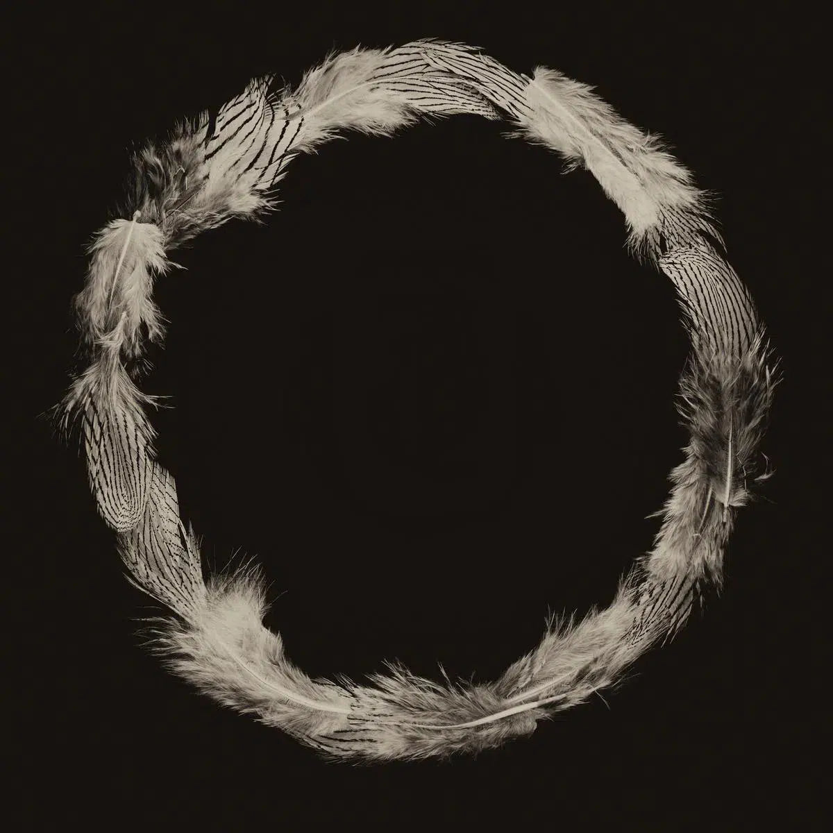 Feather Circle, by Trinette + Chris-PurePhoto