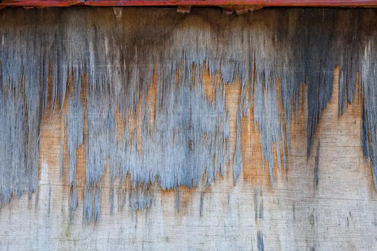 Feathered, by Gillian Lindsay-PurePhoto