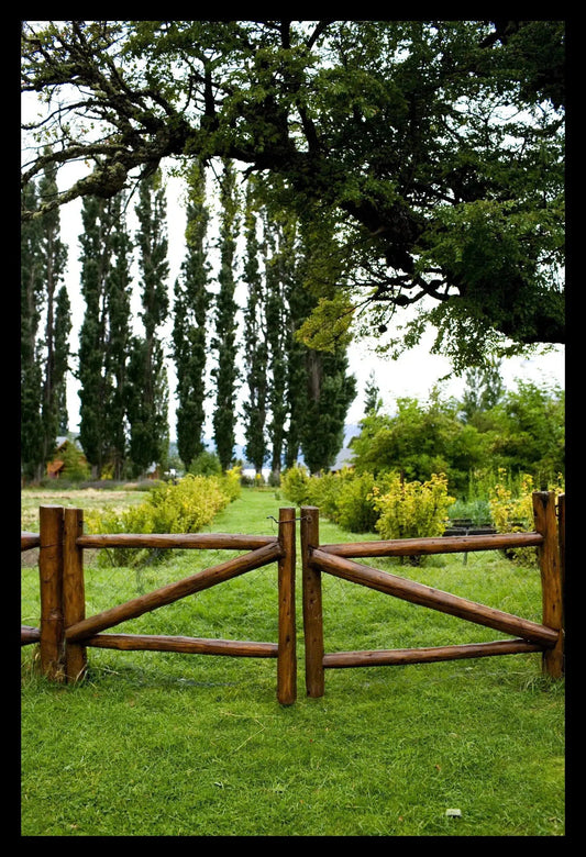 Fence Argentina, Framed-PurePhoto