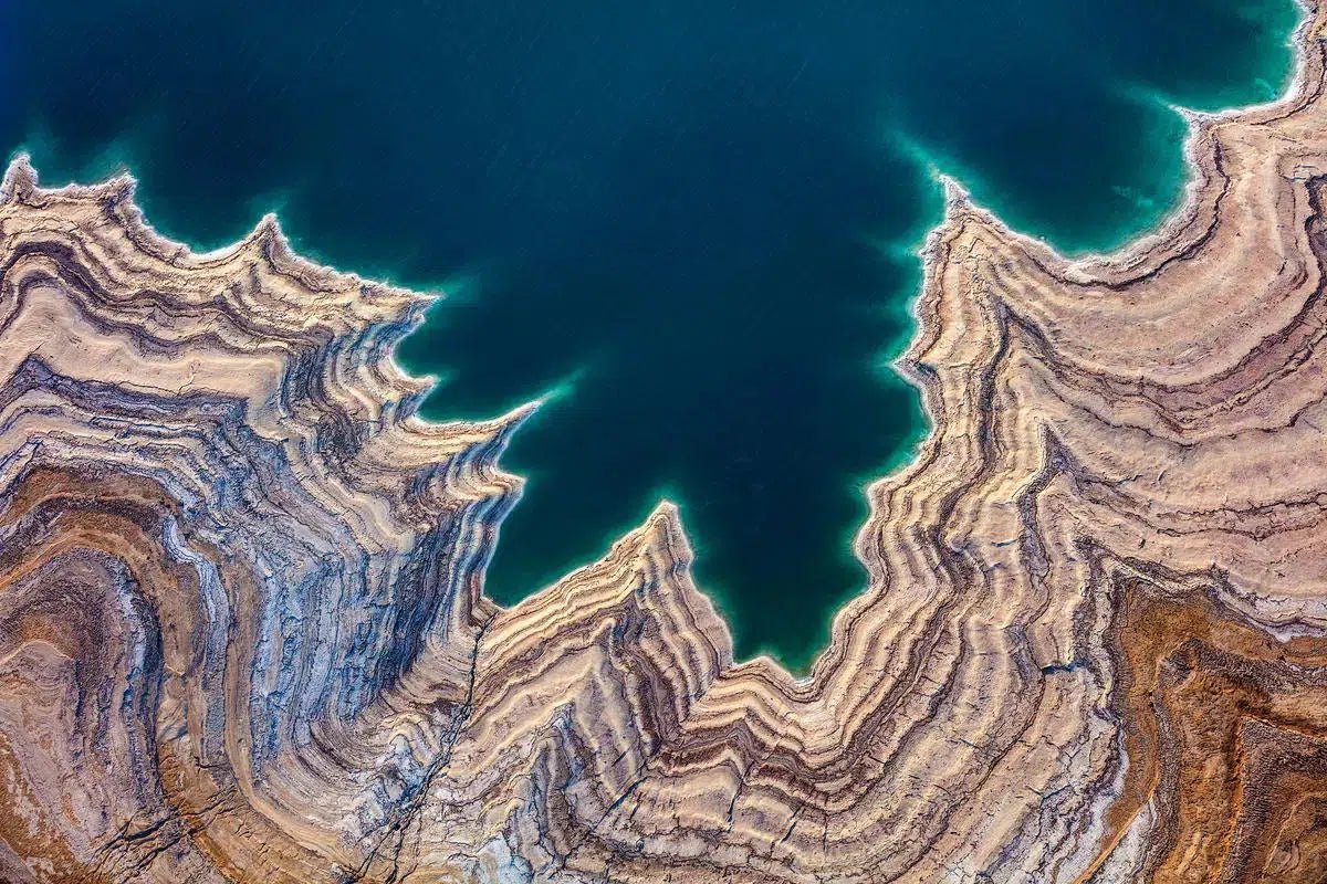 Fiamatta, by Donn Delson-PurePhoto