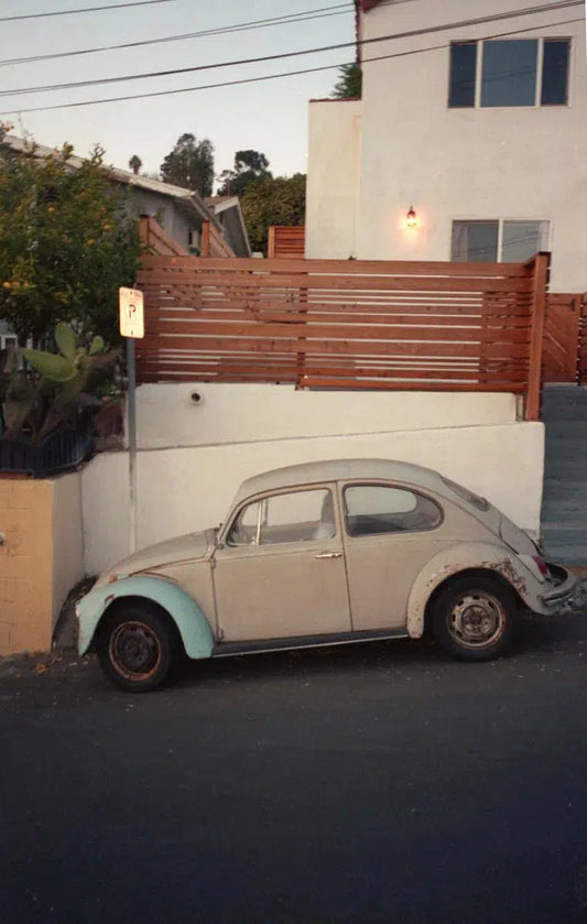 Film Beetle, by Joel Lavold-PurePhoto