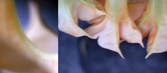 Fingertip, by Nicole Katano-PurePhoto