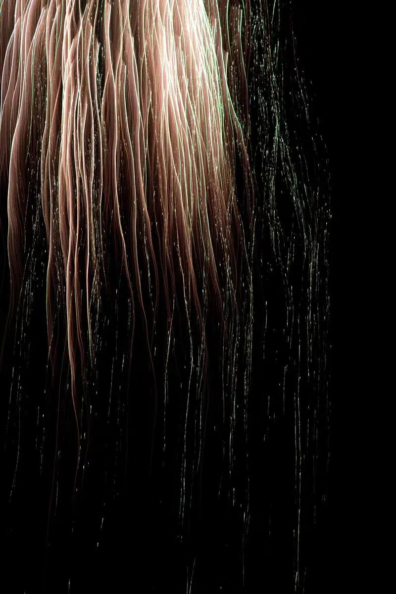 Fire In The Sky Study 4, by Bryce Olsen-PurePhoto