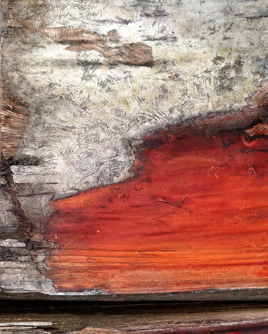 Firewood, by Gillian Lindsay-PurePhoto