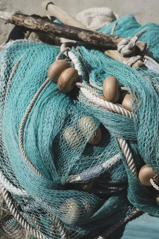 Fishing Nets 2, by Alicia Cho-PurePhoto