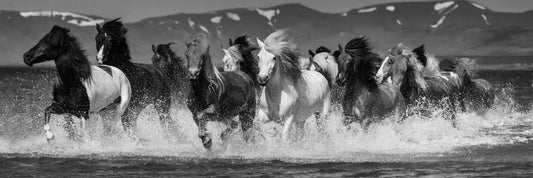 Fjord Crossing, by Carys Jones-PurePhoto