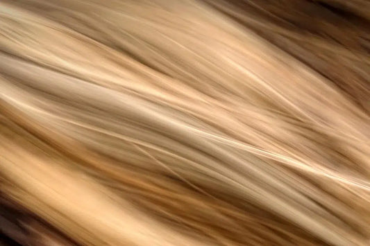 Flaxen, by Gillian Lindsay-PurePhoto
