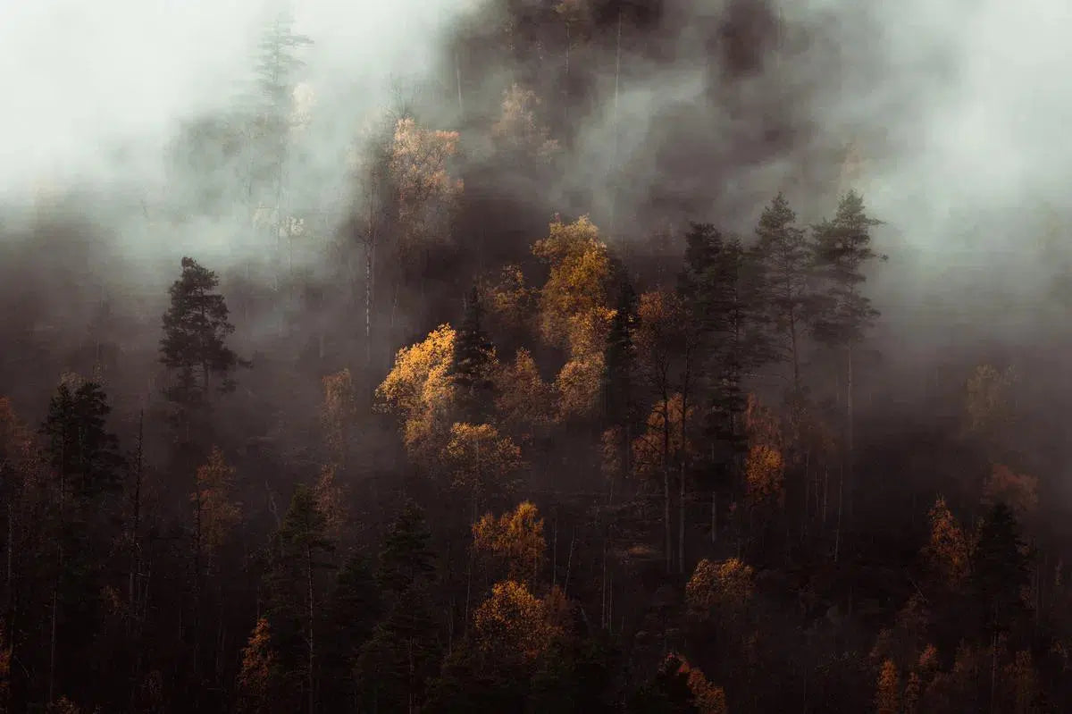 Fleeting Moments of Autumn – Norway, by Jan Erik Waider-PurePhoto