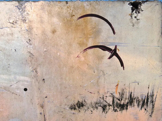Flight, by Gillian Lindsay-PurePhoto