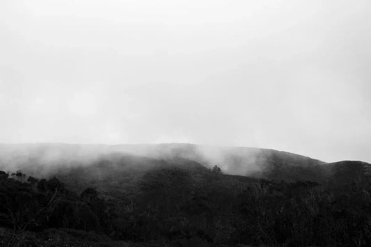 Fog Over Montana De Oro, by Alicia Cho-PurePhoto
