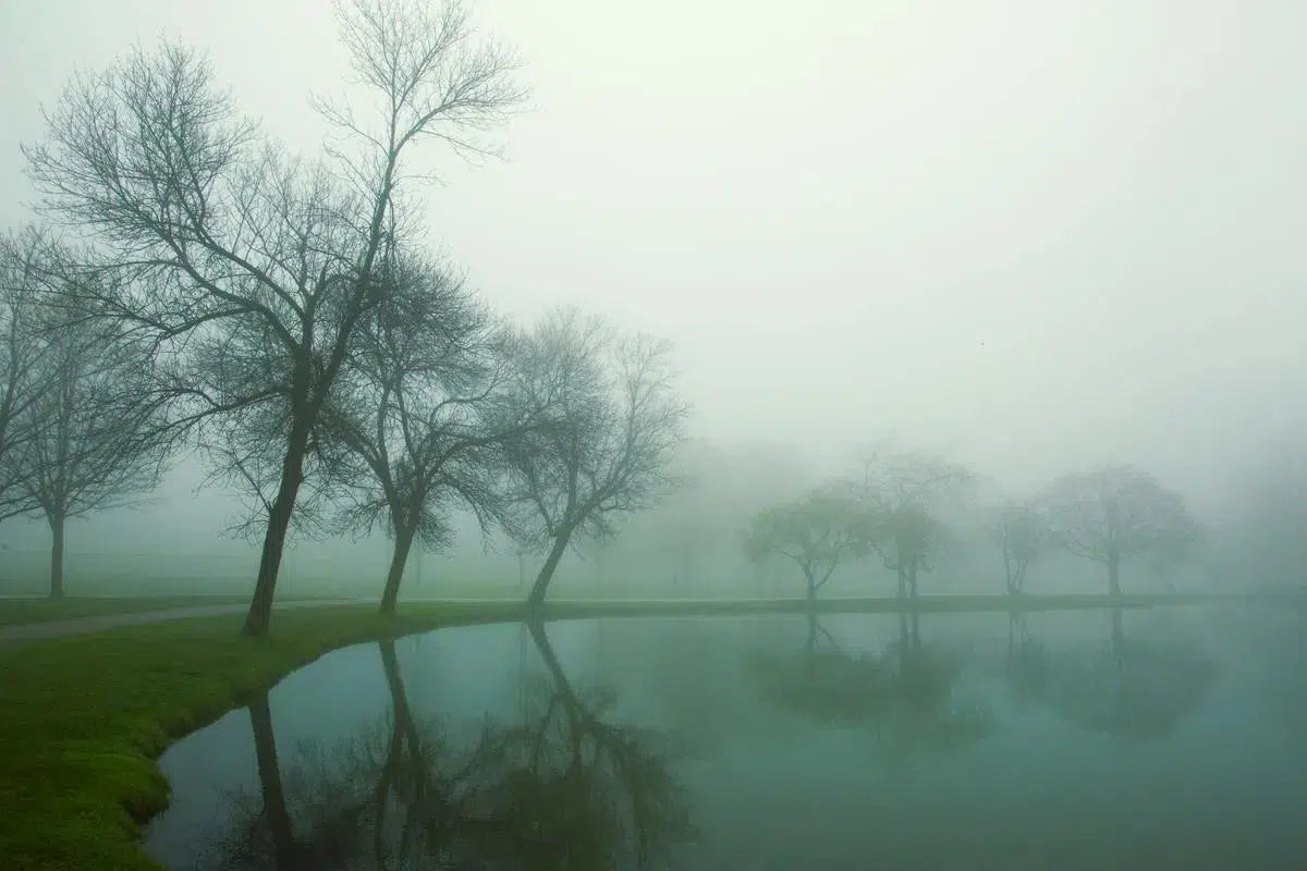 Foggy Lake, by Michael Filonow-PurePhoto