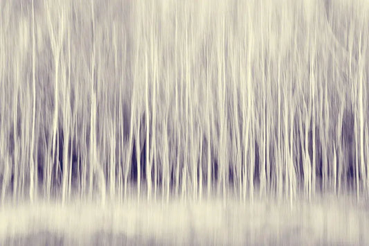 Forest Trees Abstract in Blue Ginger, by Natalie Kinnear-PurePhoto
