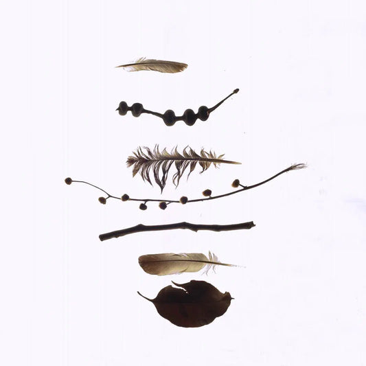 Found Things #2, by Bryony Shearmur-PurePhoto