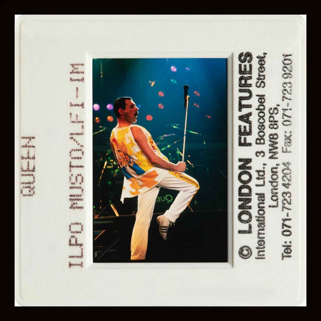 Freddy Mercury - Slide 5, from The Wild Ones collection-PurePhoto