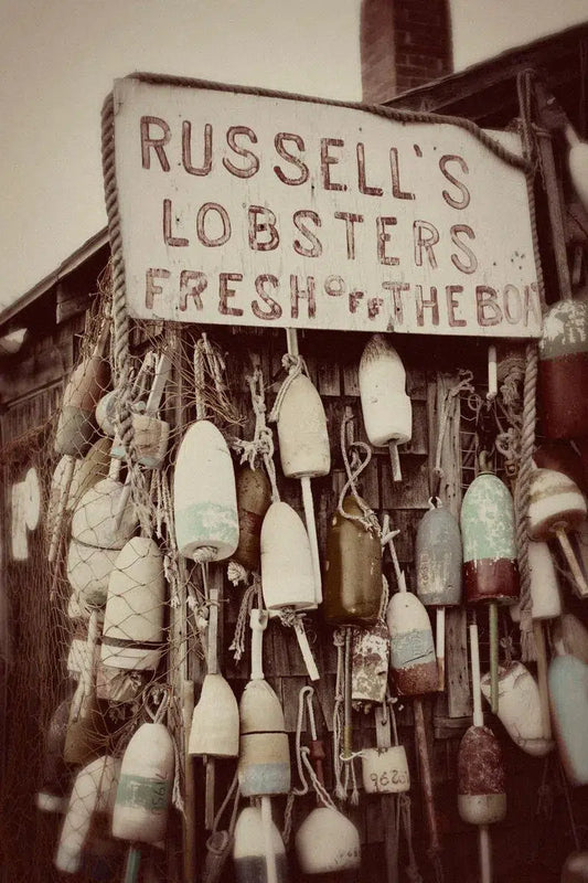 Fresh Off The Boat, by Michael Hedden-PurePhoto