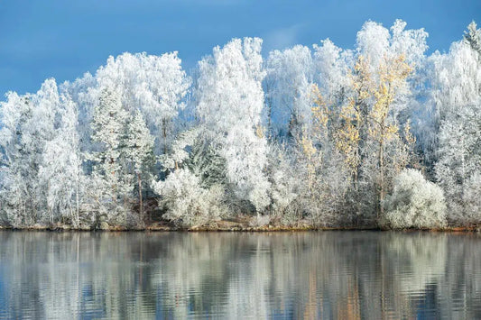 Frost and Reflections 1, by Ari Salmela-PurePhoto