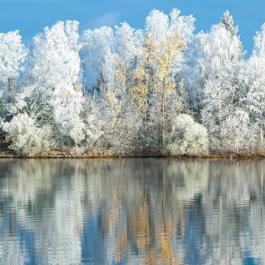 Frost and Reflections 2, by Ari Salmela-PurePhoto