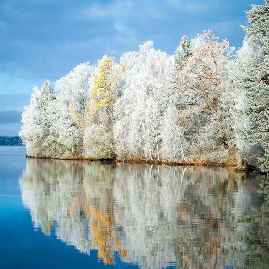 Frost and Reflections 3, by Ari Salmela-PurePhoto
