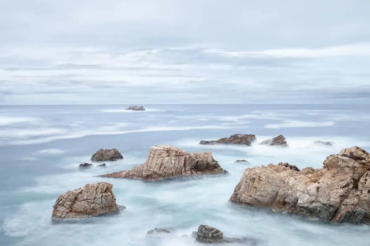 Garrapata Rock Garden - Big Sur, by Steven Castro-PurePhoto